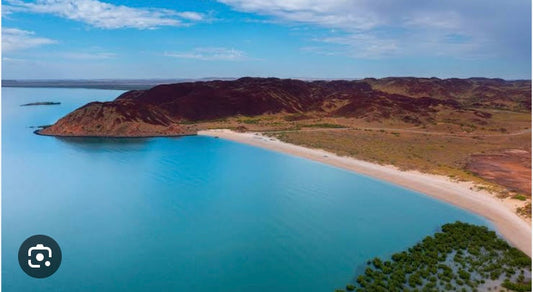 Article 1 - Hearsons Cove: Where the Colours Began